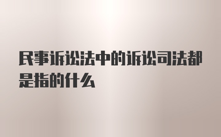 民事诉讼法中的诉讼司法都是指的什么