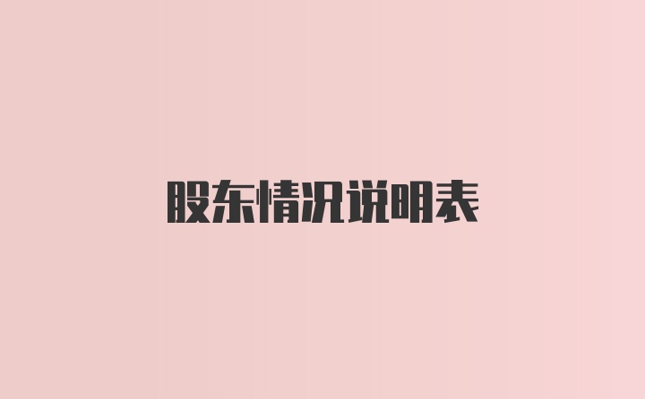 股东情况说明表