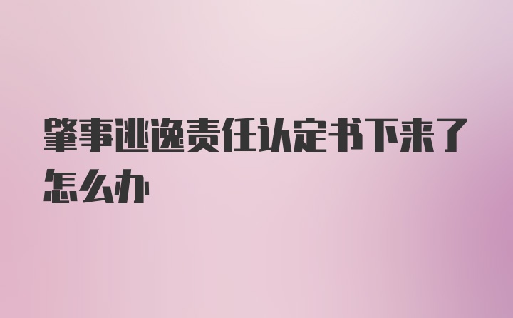 肇事逃逸责任认定书下来了怎么办