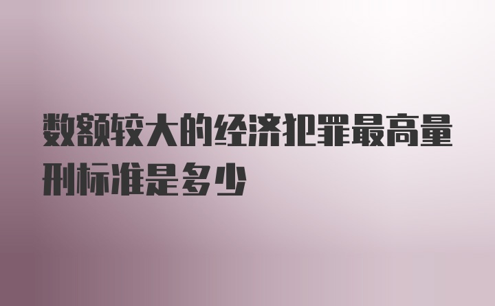 数额较大的经济犯罪最高量刑标准是多少