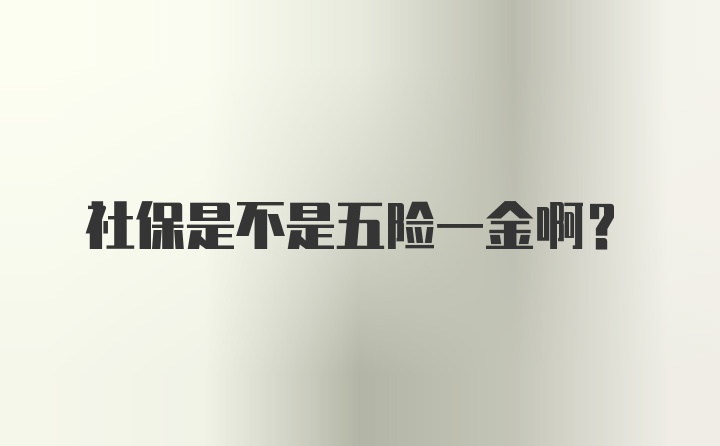 社保是不是五险一金啊？