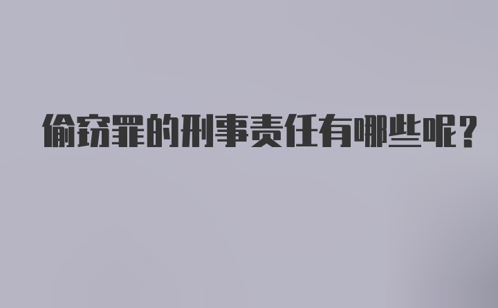 偷窃罪的刑事责任有哪些呢？