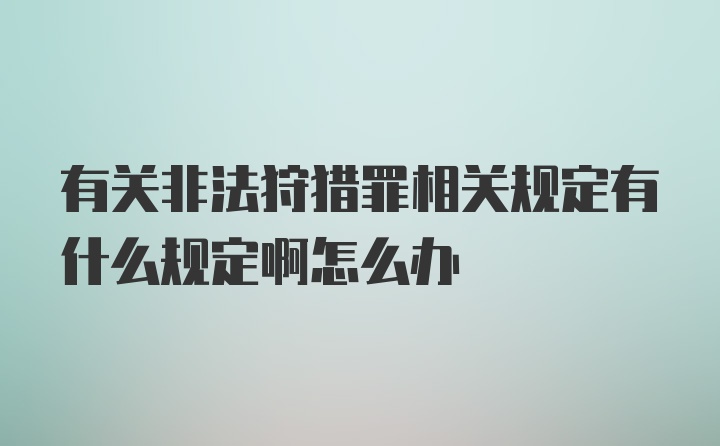 有关非法狩猎罪相关规定有什么规定啊怎么办