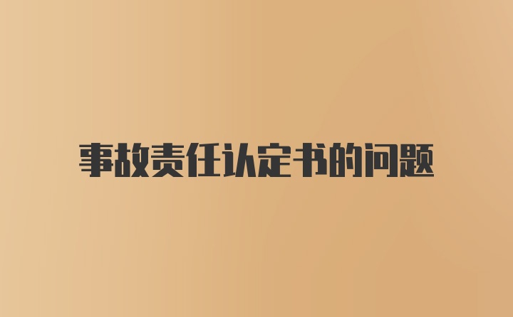 事故责任认定书的问题