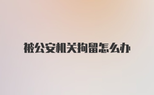 被公安机关拘留怎么办