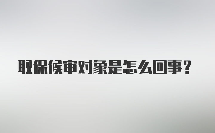 取保候审对象是怎么回事？