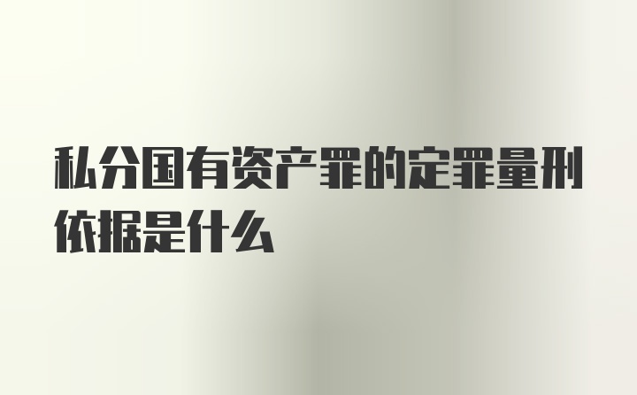 私分国有资产罪的定罪量刑依据是什么