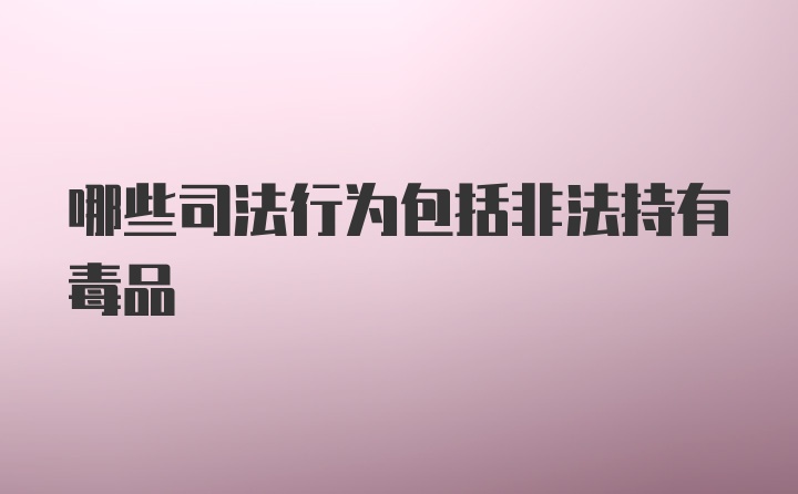 哪些司法行为包括非法持有毒品