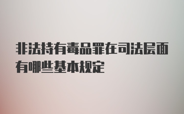 非法持有毒品罪在司法层面有哪些基本规定