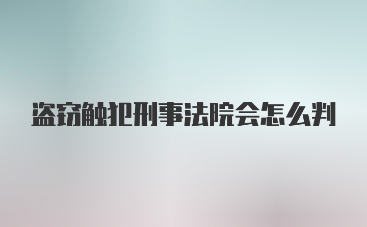 盗窃触犯刑事法院会怎么判