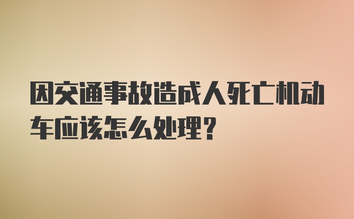 因交通事故造成人死亡机动车应该怎么处理？