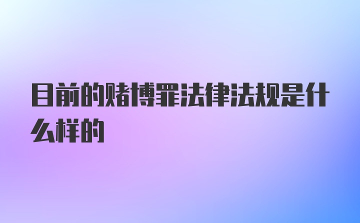 目前的赌博罪法律法规是什么样的