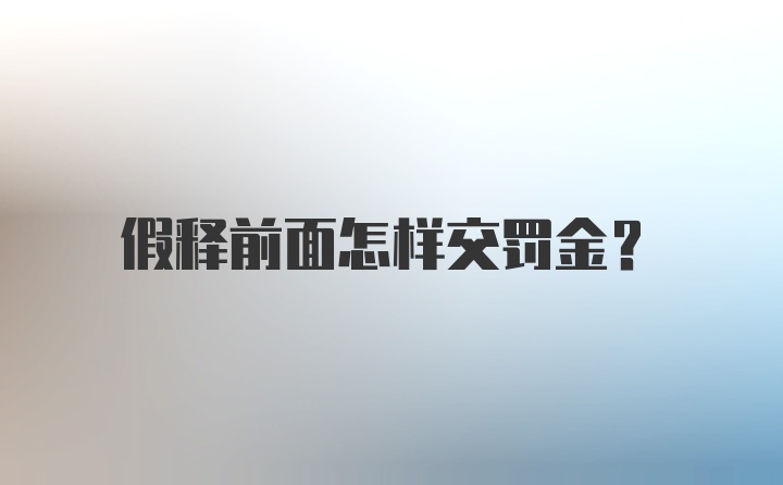 假释前面怎样交罚金？