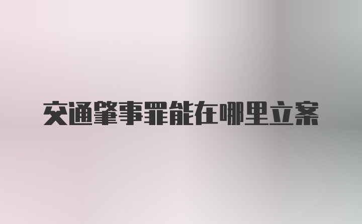 交通肇事罪能在哪里立案