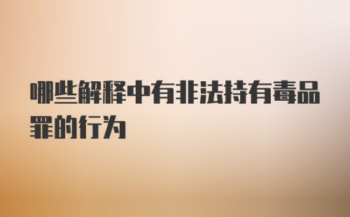 哪些解释中有非法持有毒品罪的行为