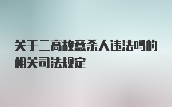 关于二高故意杀人违法吗的相关司法规定