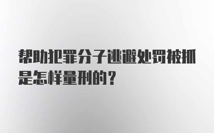 帮助犯罪分子逃避处罚被抓是怎样量刑的?