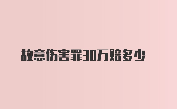 故意伤害罪30万赔多少