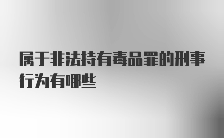 属于非法持有毒品罪的刑事行为有哪些