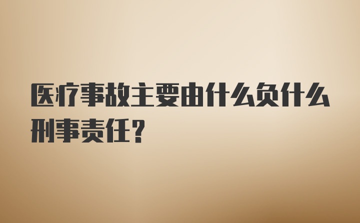 医疗事故主要由什么负什么刑事责任？