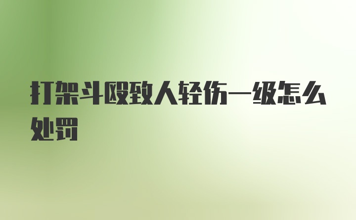 打架斗殴致人轻伤一级怎么处罚