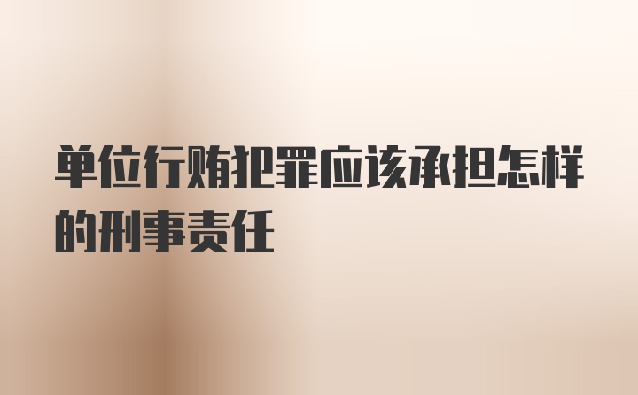 单位行贿犯罪应该承担怎样的刑事责任