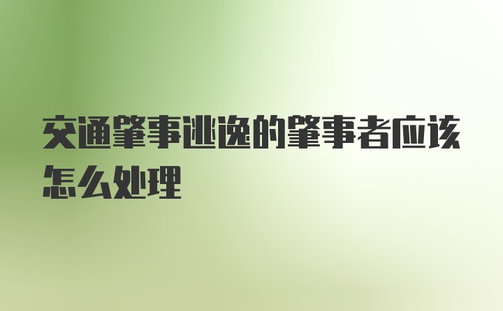 交通肇事逃逸的肇事者应该怎么处理