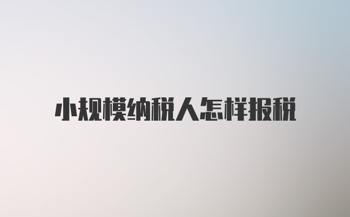 小规模纳税人怎样报税