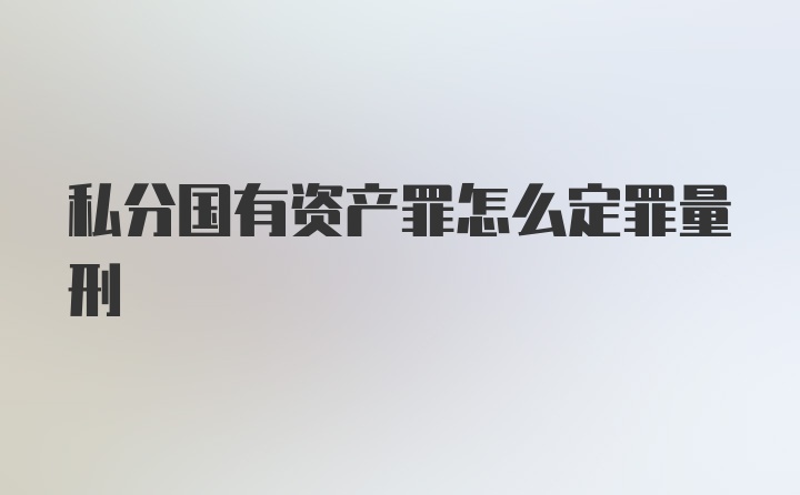 私分国有资产罪怎么定罪量刑