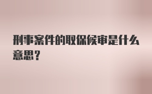 刑事案件的取保候审是什么意思？