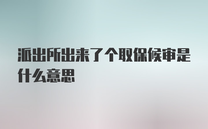 派出所出来了个取保候审是什么意思