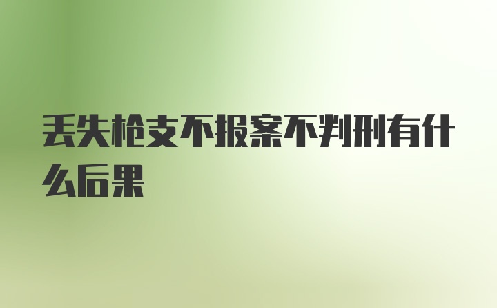 丢失枪支不报案不判刑有什么后果