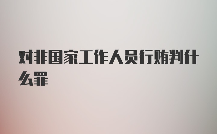 对非国家工作人员行贿判什么罪