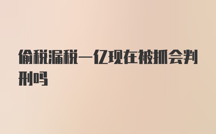 偷税漏税一亿现在被抓会判刑吗