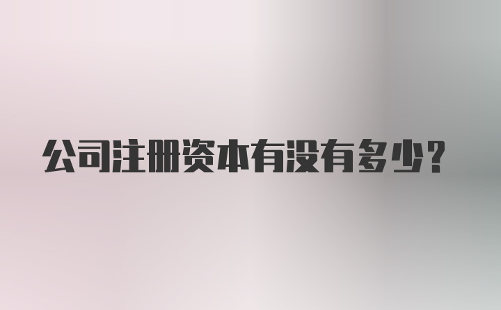 公司注册资本有没有多少？