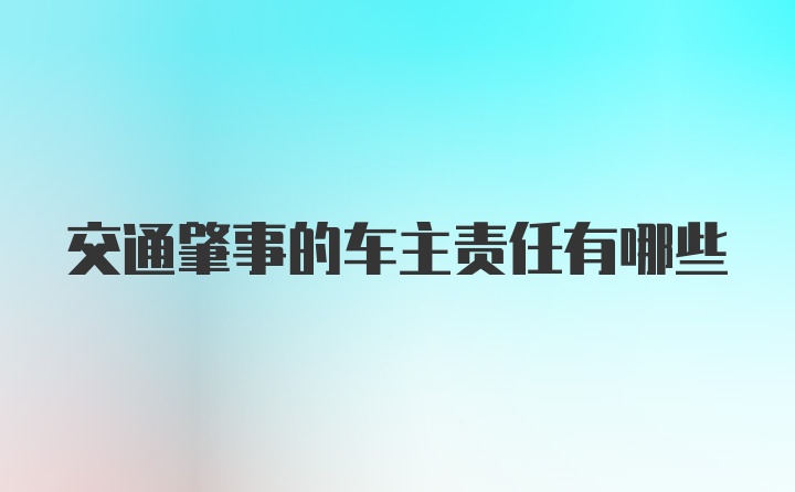 交通肇事的车主责任有哪些