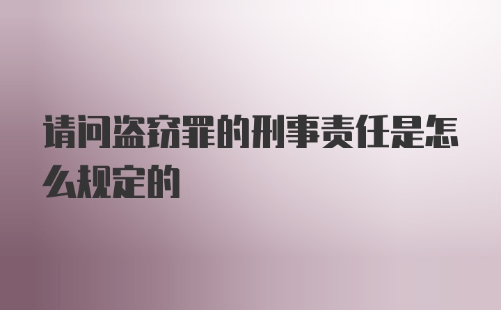 请问盗窃罪的刑事责任是怎么规定的