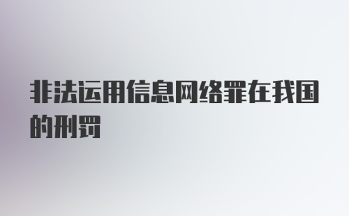 非法运用信息网络罪在我国的刑罚