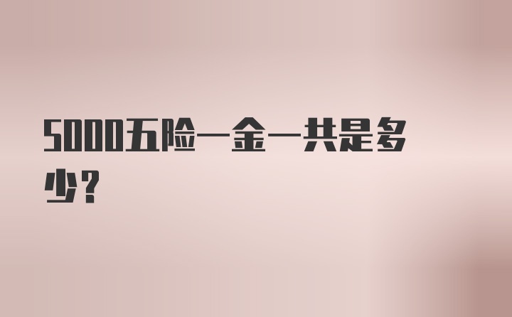 5000五险一金一共是多少？