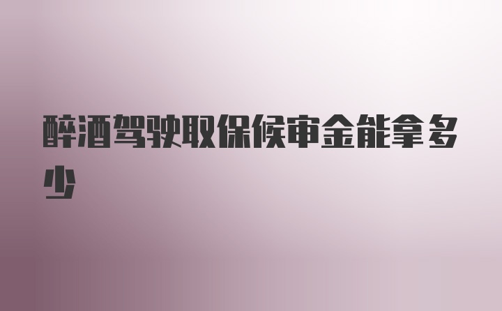 醉酒驾驶取保候审金能拿多少