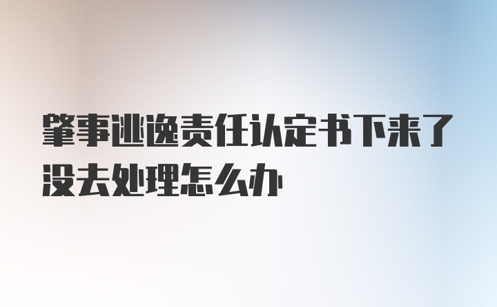 肇事逃逸责任认定书下来了没去处理怎么办