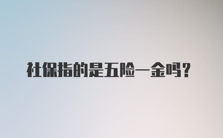 社保指的是五险一金吗？