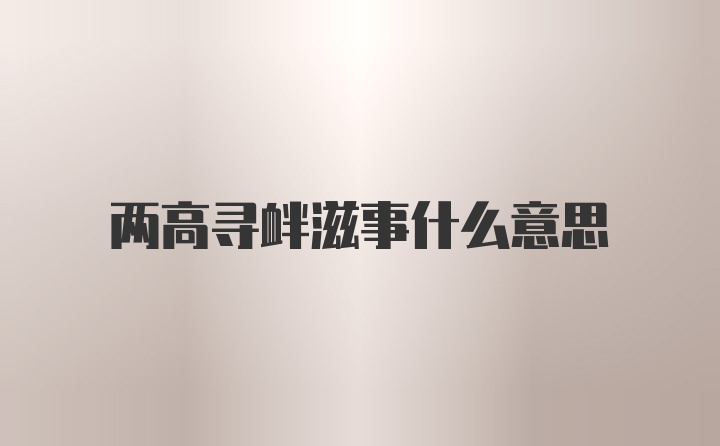 两高寻衅滋事什么意思