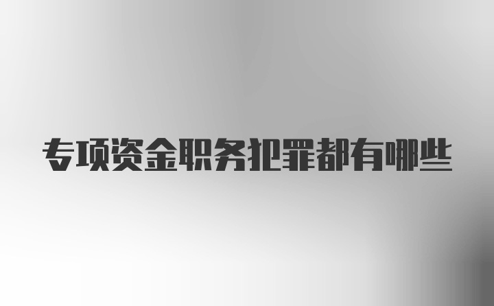 专项资金职务犯罪都有哪些