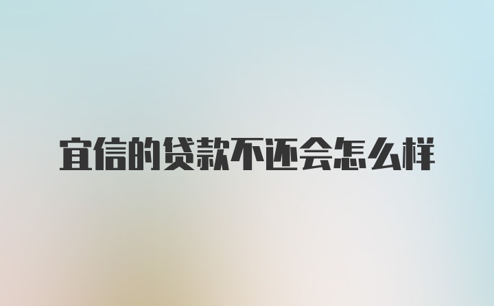 宜信的贷款不还会怎么样