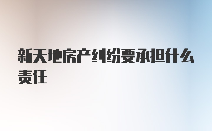 新天地房产纠纷要承担什么责任