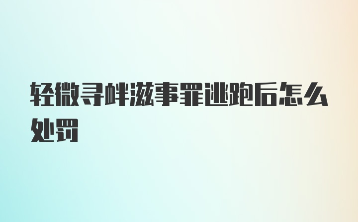 轻微寻衅滋事罪逃跑后怎么处罚