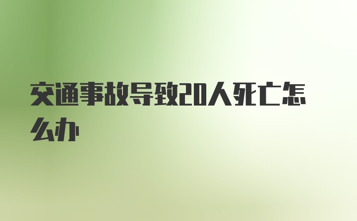 交通事故导致20人死亡怎么办