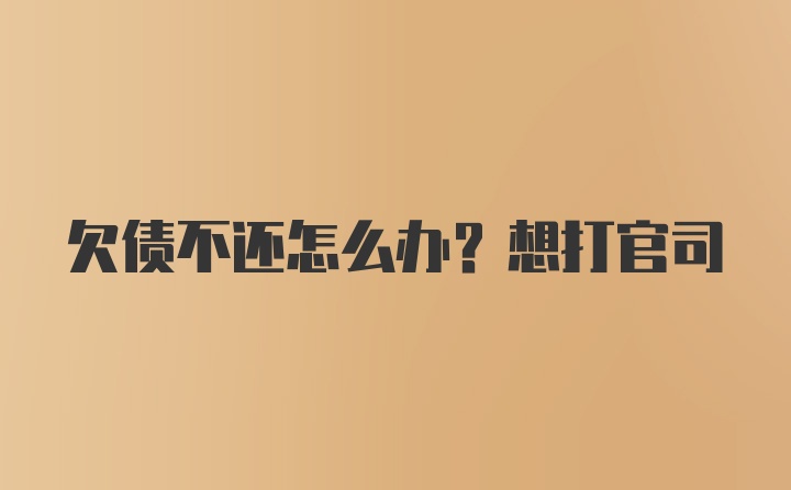 欠债不还怎么办?想打官司