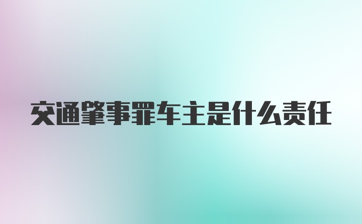 交通肇事罪车主是什么责任